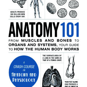 Anatomy 101 – Beginner’s guide to the human body, covering muscles, bones, organs, and body systems.