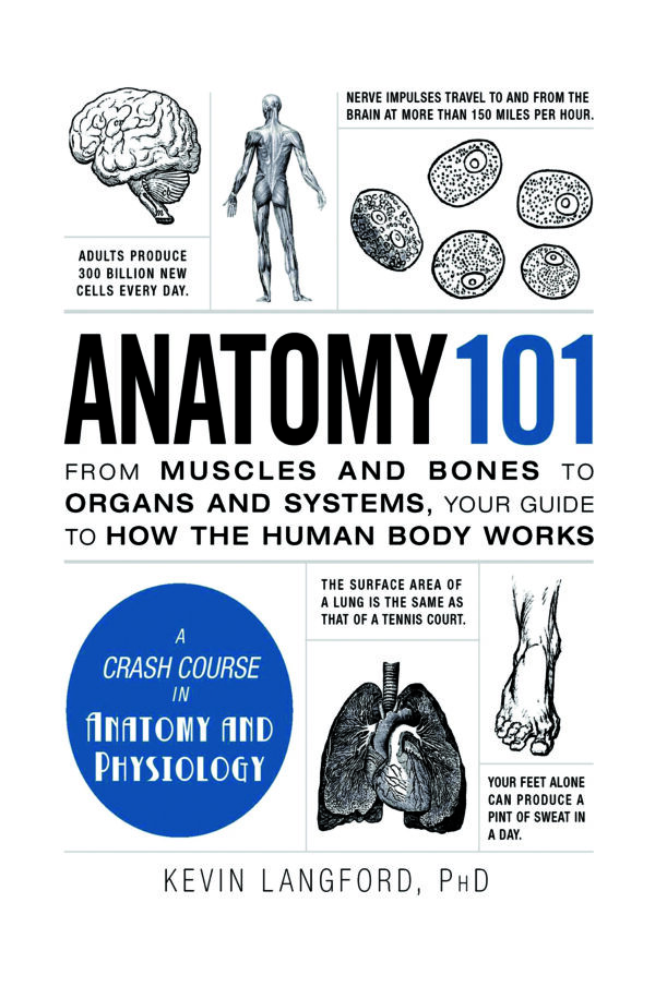 Anatomy 101 – Beginner’s guide to the human body, covering muscles, bones, organs, and body systems.