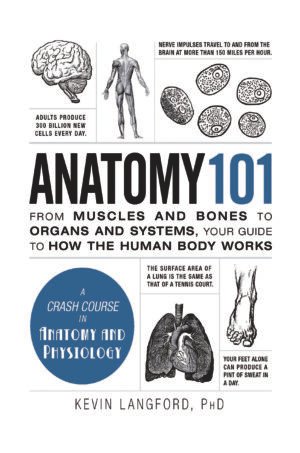 Anatomy 101 – Beginner’s guide to the human body, covering muscles, bones, organs, and body systems.