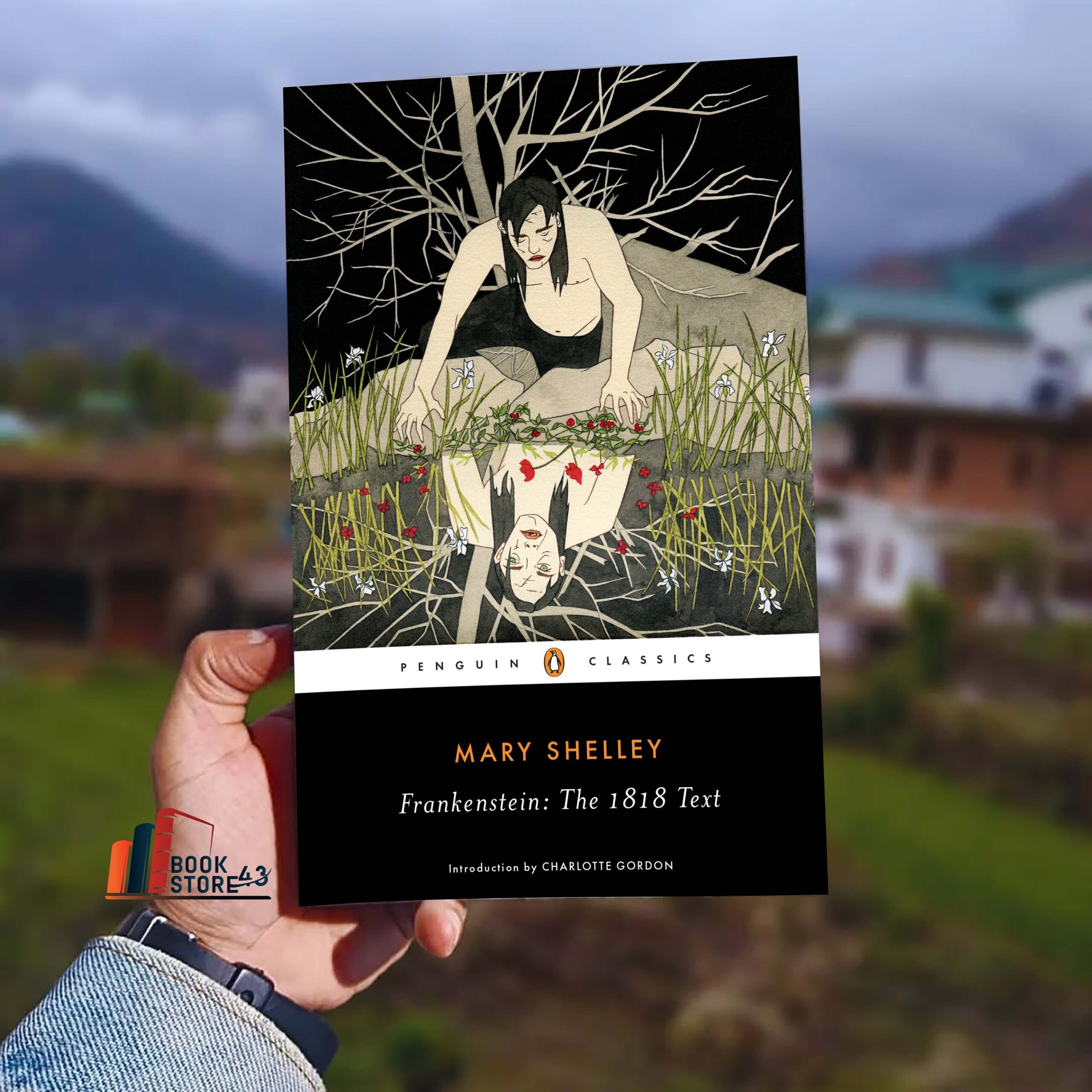 Frankenstein Frankenstein: The 1818 Text book cover – Gothic and philosophical novel by Mary Shelley exploring creation, ambition, and isolation through Victor Frankenstein and his tragic creature